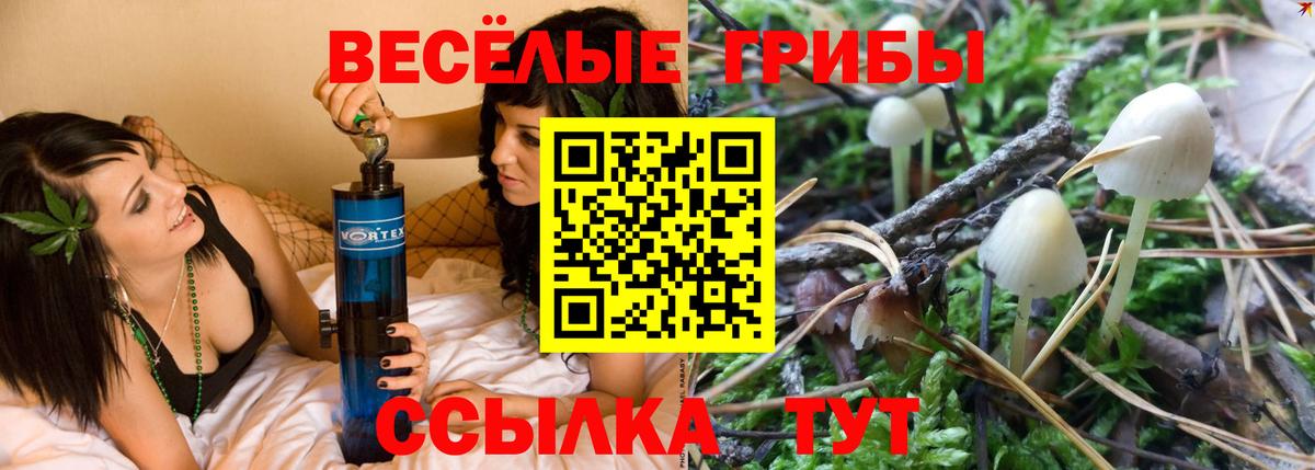 Галлюциногенные грибы ЛСД  Галлюциногенные грибы мицелий  Вход с VPN  Ростов Великий 