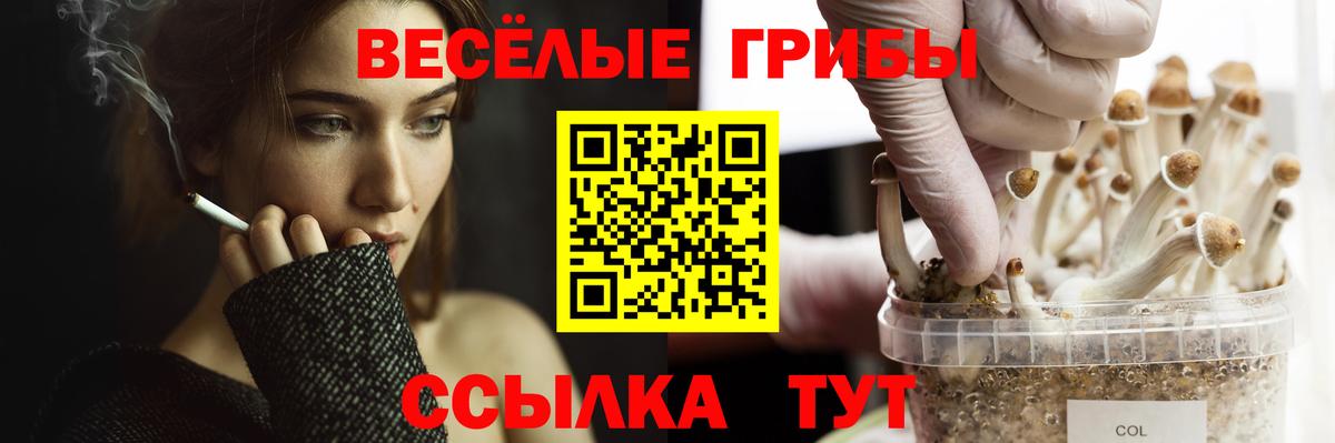 Галлюциногенные грибы мицелий Ростов Великий